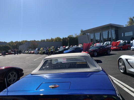 The rearview of all the Corvettes!