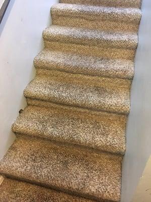 These are my stairs. My home is split level so I get a lot of traffic in our house however it looks as if nothing was even cleaned.