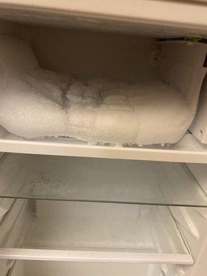 Totally frosted freezer. I wonder how long this mini fridge has been neglected...