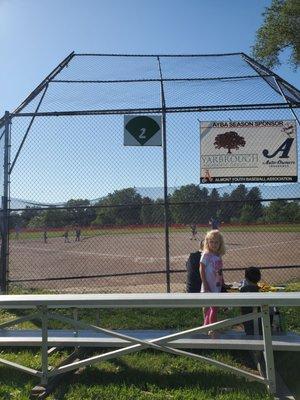 On the Back property of The Bells Event Center, formerly Almont High School are 4 Baseball Diamonds.  Thursday 5/30/2024