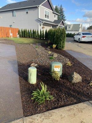 Dry Creeks & Privacy Hedges