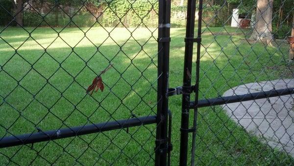 we cut a yard on Elliott Dr.. Rome Ga