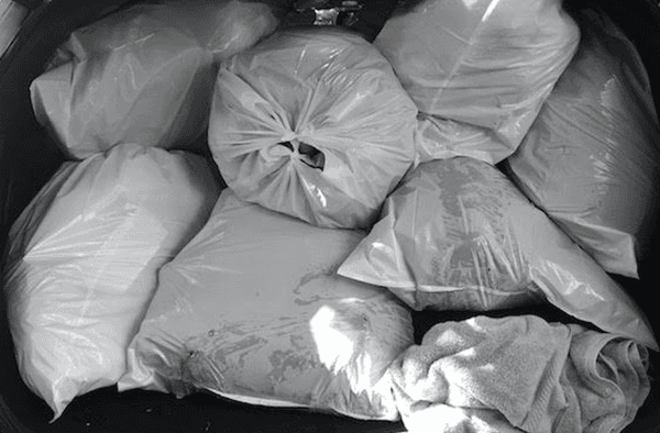 Had an event with tons of overspill garbage bags that won't fit in your trash bins? Trash To Curb will remove it from your property for you.