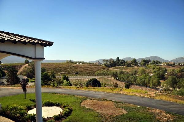 The view from the balcony. Don't judge the grass, it was a rough Summer! :o)