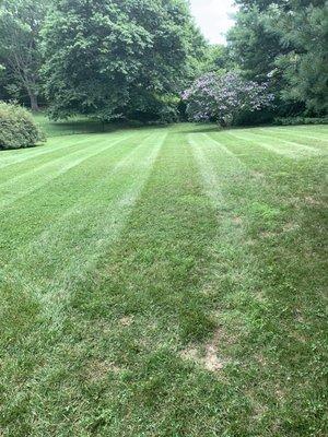 Lawn striped up beautifully!