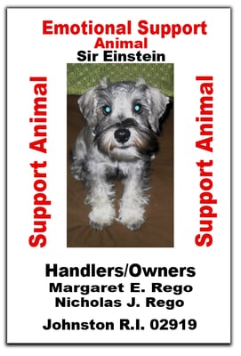 service animal tags emotional support animal tags www.emosdogtags.com cheap animal flights no apartment fee service dog