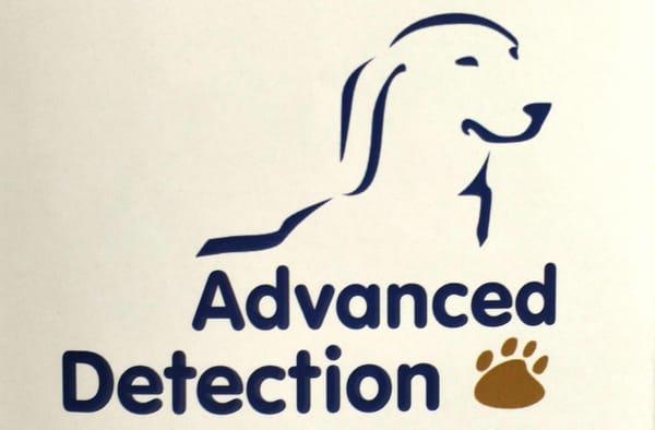 Advanced Detection