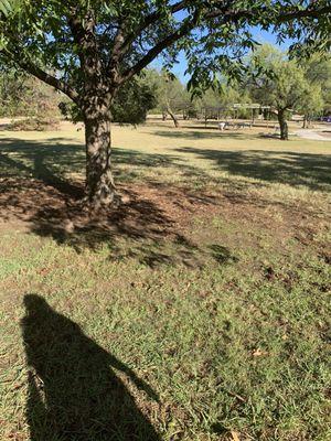 Field at Kiwanis Park in Wichita Falls, Texas.