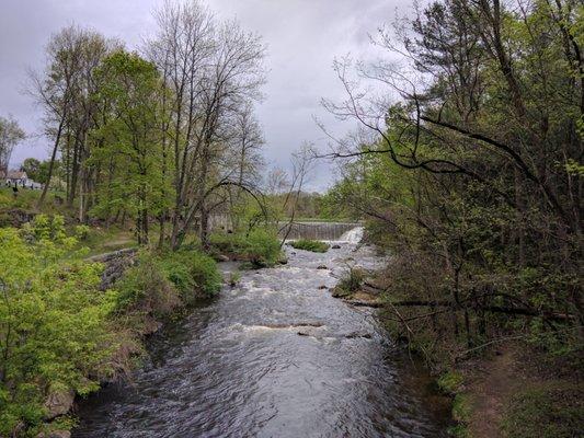 Looking down the river