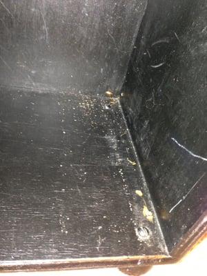 Roach matter inside children's bookcase.