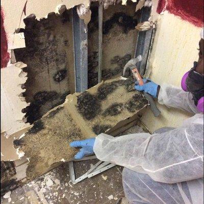 Mold Remediation