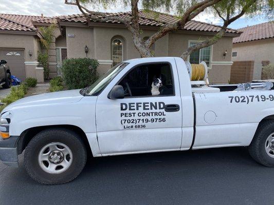 Defend Pest Control