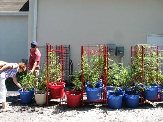 A view of our container garden this summer (2010) - fresh herbs, heirloom tomatoes and peppers grown on site (seasonally)!