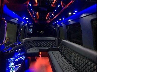 12 Passenger Sprinter Limo