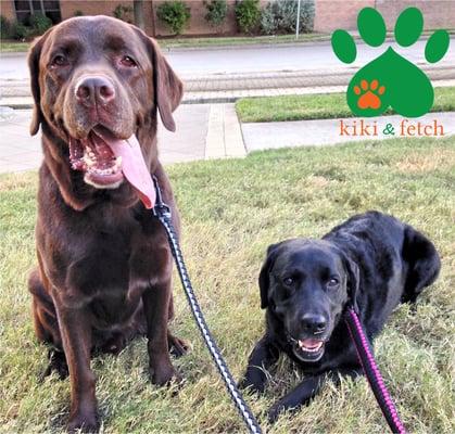 We are SO EXCITED to welcome Barley (left) & Abby (right) to the kiki & fetch family! How adorable are they?