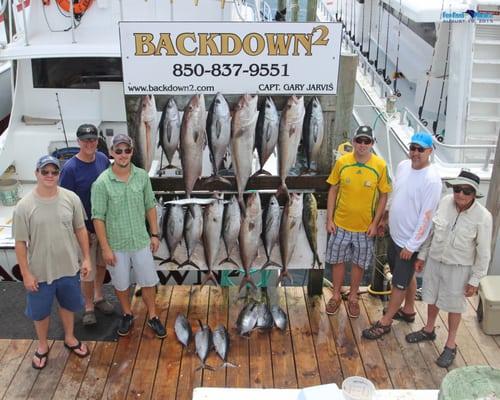 Amberjacks and Black Fin Tuna