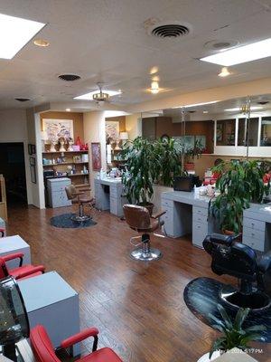 Beautiful hardwood floors and large plants.