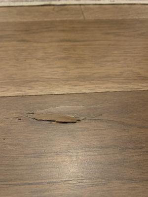 De-lamation defect in Summit Flooring product.