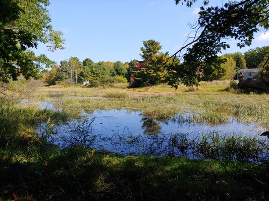 Tyler Brook Preserve