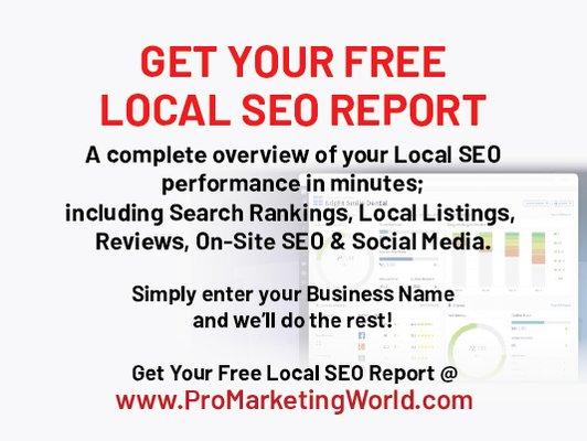 Fee local seo and online accuracy reports with Pro Marketing World