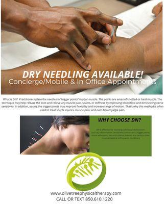 Natural Pain Relief! Dry Needling now available! Call or Text 850-610-1220 today!