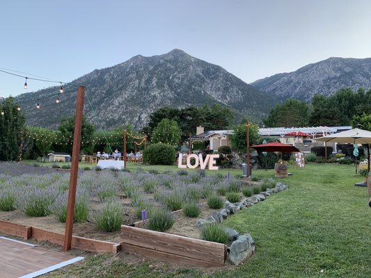 Gardnerville