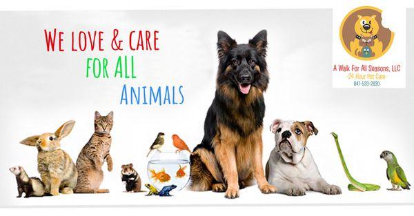 A Walk For All Seasons is a well established 24 hour pet care company, that provides custom care for your family's needs