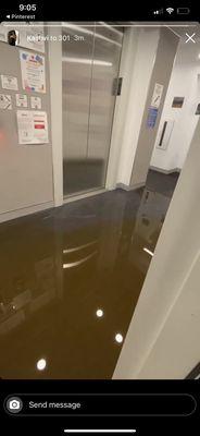 the 19th floor of our dorm got completely flooded and there's a massive puddle of brown sewage water just sitting there in the hallway.