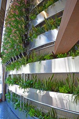 Green wall (interior), Founding Farmers restaurant