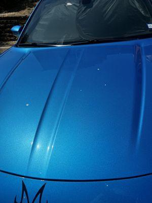 Bird poop still on the hood AFTER the "wash."