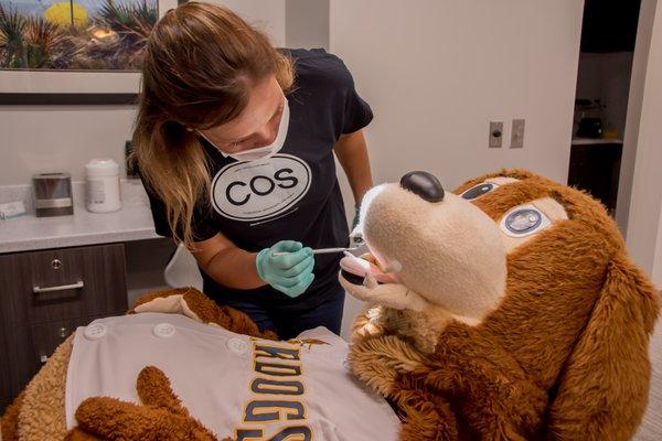 Our assistant, Chelsea, doing an exam on Charlie the Riverdog!