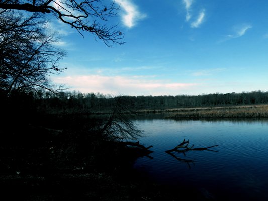 Interesting tidbit: The Patuxent River is an important freshwater tidal estuary in the Chesapeake Bay region.