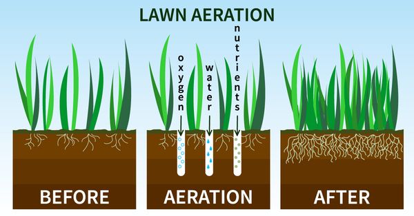 Core Aerate at least once per year for a thick, healthy and green lawn.