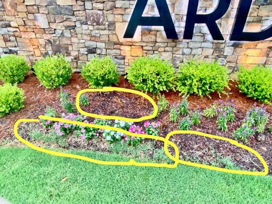 Dead flowers and poorly kept entrance to Arden Mill in Fort Mill.