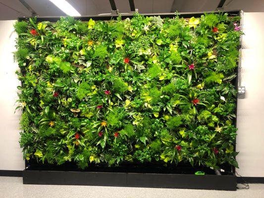 living wall