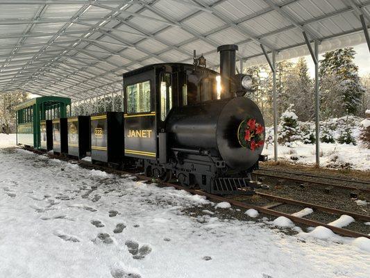 Riding the train is a fun and novel experience. And it gives you the opportunity to see all the trees that we offer.