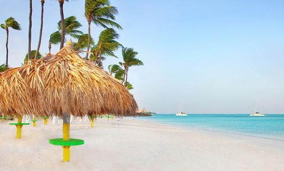 You can always expect the lowest prices on Aruba vacation packages at Holiday Inn, Hyatt & Hilton vacation packages.Check our Specials Page.