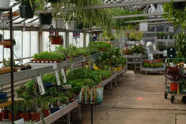 Mahoney's Garden Center - Tewksbury