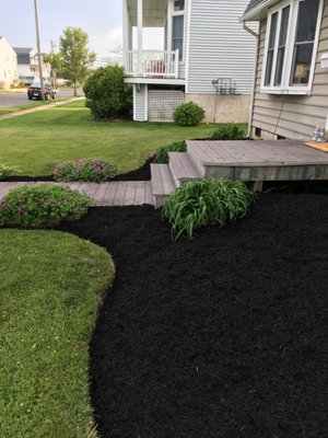 Nistor Landscaping