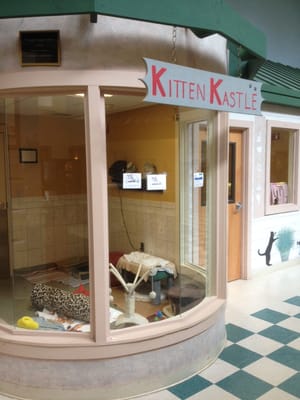 They have some big rooms for cats.  Here's the "Kitten Kastle".