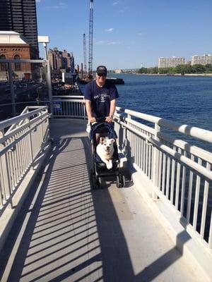 Toshie enjoying a stroll along the East River