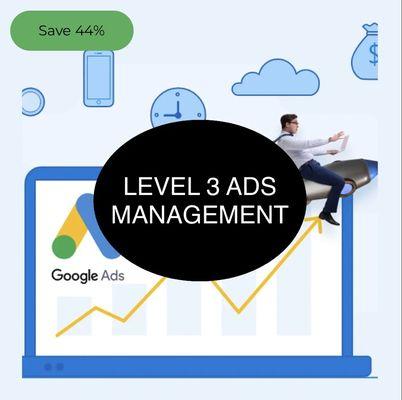 Level three Google ads management