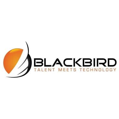 Blackbird Computers