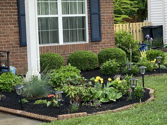 Season To Season Landscaping and Curbing