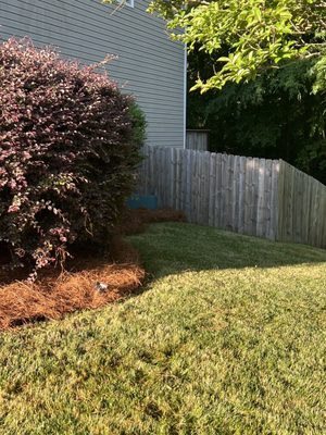 My other side of lawn and new pine straw. Perfect!! I'll suggest you to text him and get him to beautify your yard.