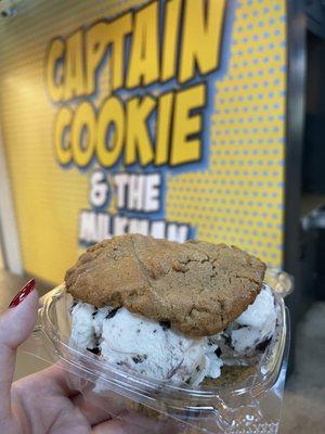 Chocolate Chip Cookie - Peanut Butter Cookie combo with cookies and cream ice cream