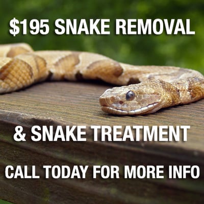 $195 Snake Removal & Snake Barrier Treatment Special - Call Today