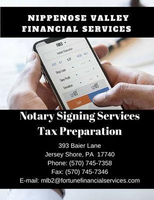 NIPPENOSE VALLEY FINANCIAL SVC