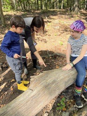 Forest School