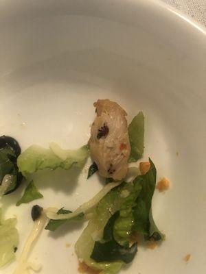 Ladybug in the chicken salad.